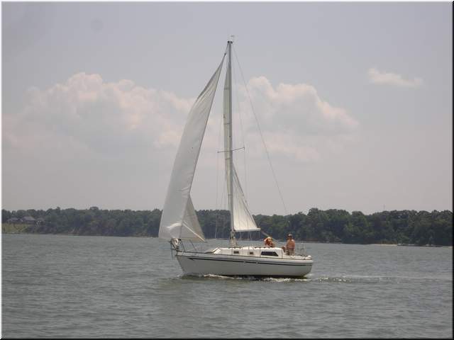 DSC00394.jpg