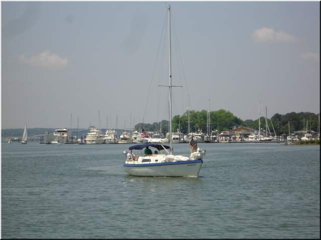DSC00420.jpg