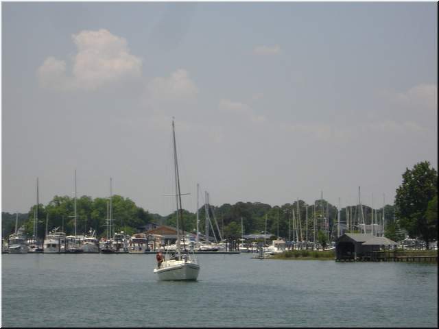DSC00429.jpg