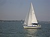 DSC00414.jpg
