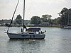 DSC00451.jpg