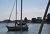 IMG_0553.JPG