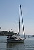 IMG_0559.JPG