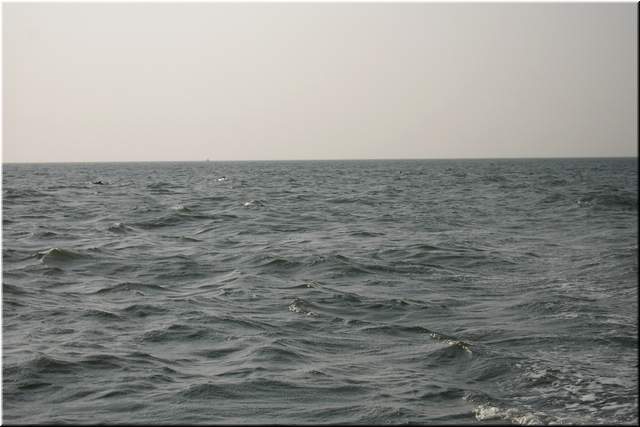PDR_0127.JPG