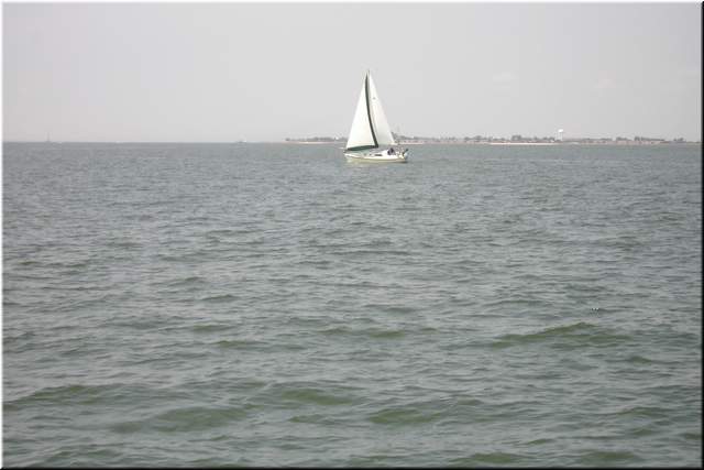 PDR_0388.JPG