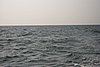 PDR_0127.JPG