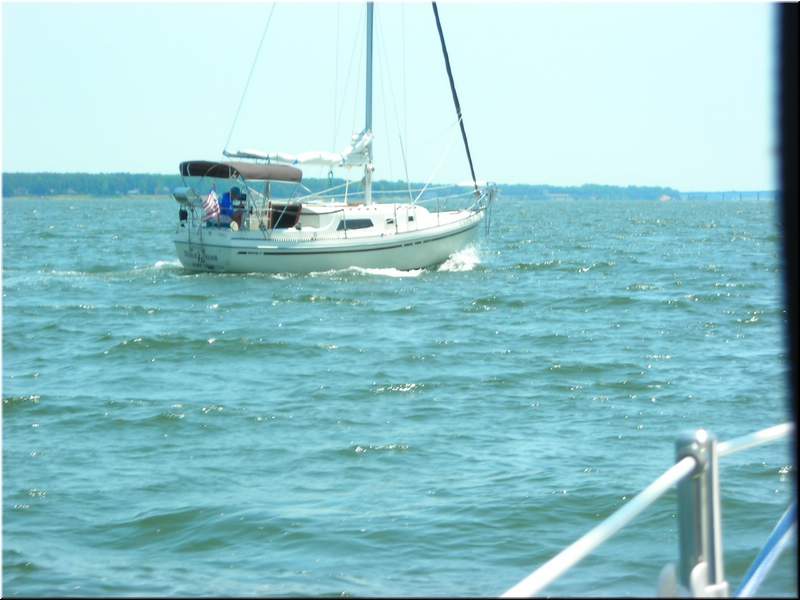 DSCN0787.JPG