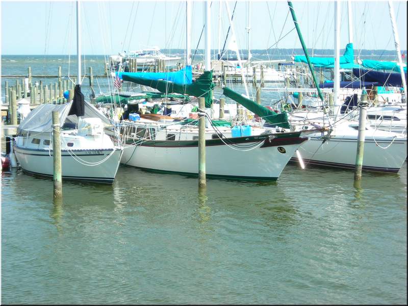 DSCN0809.JPG