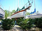 DSCN0804.JPG