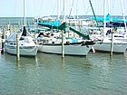 DSCN0809.JPG