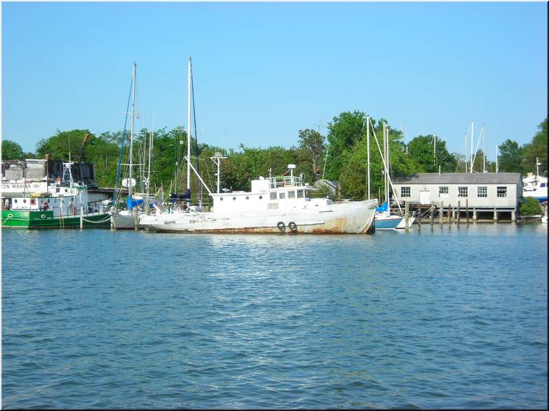 DSCN0774.JPG