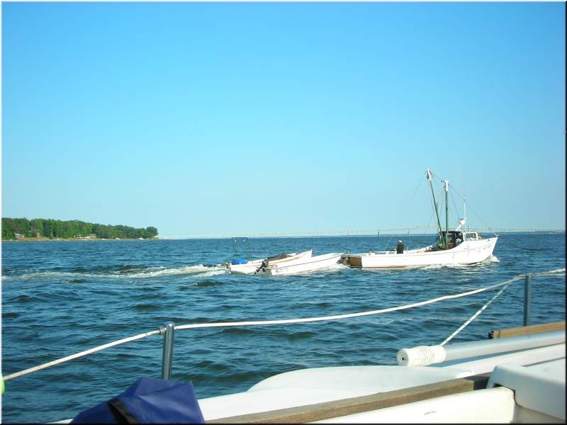 DSCN0778.JPG