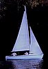 W17undersail01.jpg