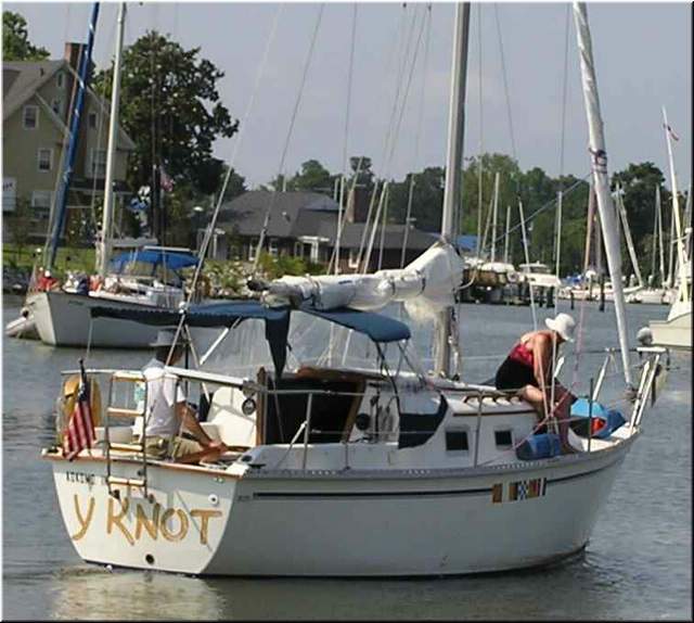 1986 Y Knot.jpg