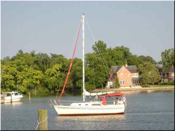Seaquel in Hampton.JPG