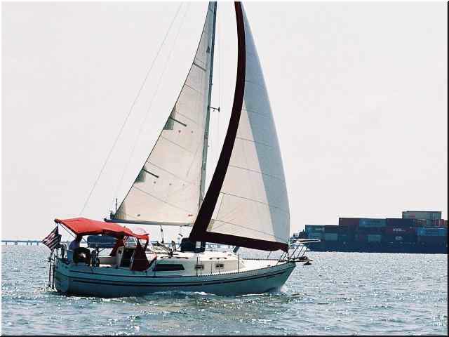 Seaquel_Sailing02.jpg
