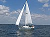 gipasina_1986W29.jpg