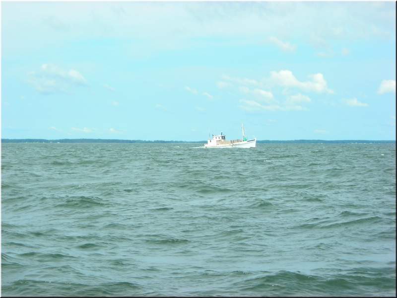 DSCN0879.JPG