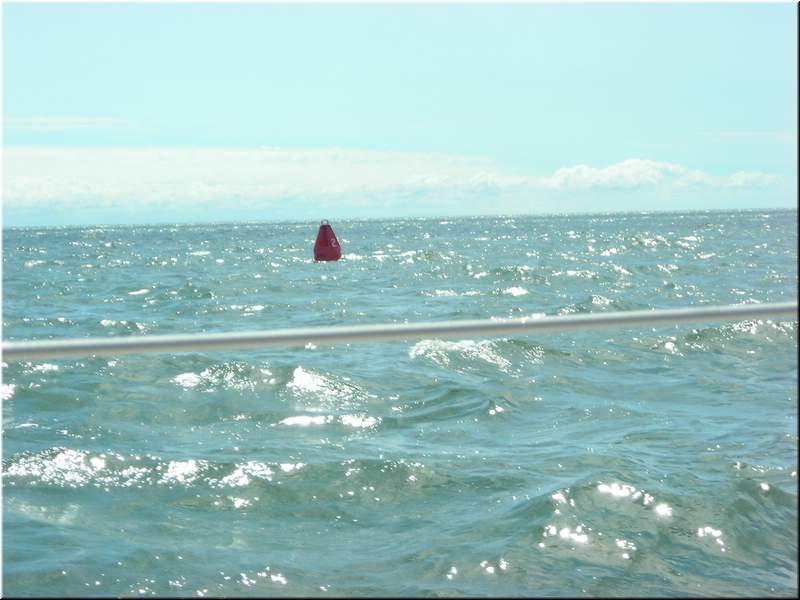 DSCN0880.JPG