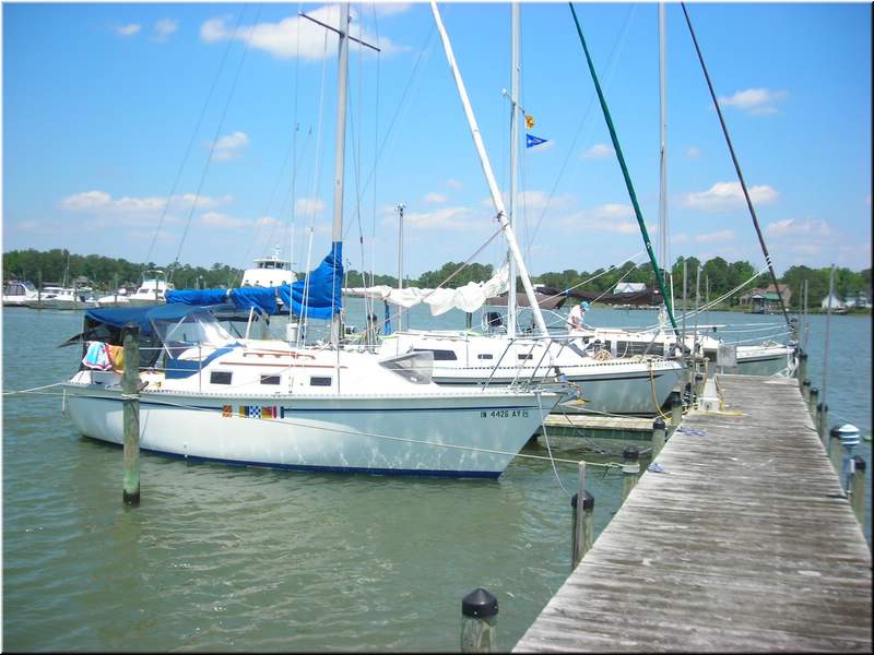 DSCN0893.JPG