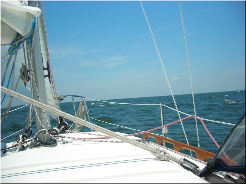 DSCN0818.JPG