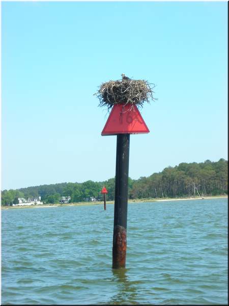 DSCN0825.JPG