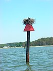DSCN0825.JPG