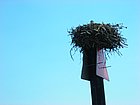 DSCN0826.JPG