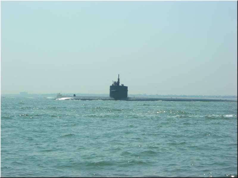DSCN0979.JPG