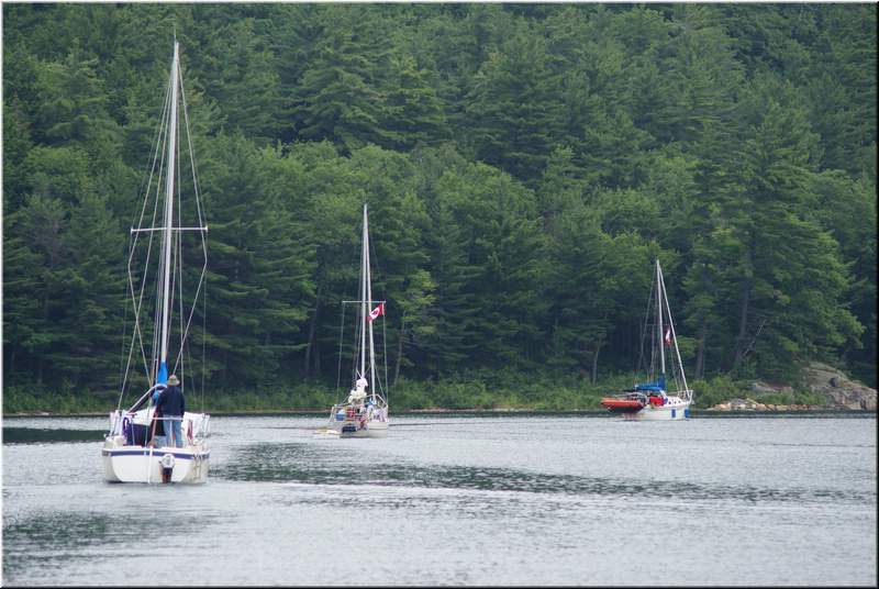 2010NC Bergdall 209.JPG