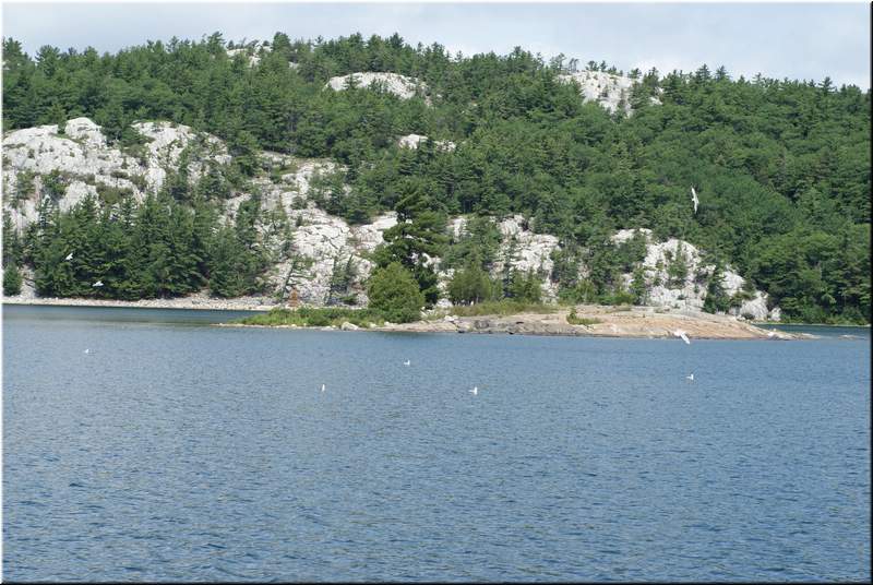 2010NC Bergdall 250.JPG