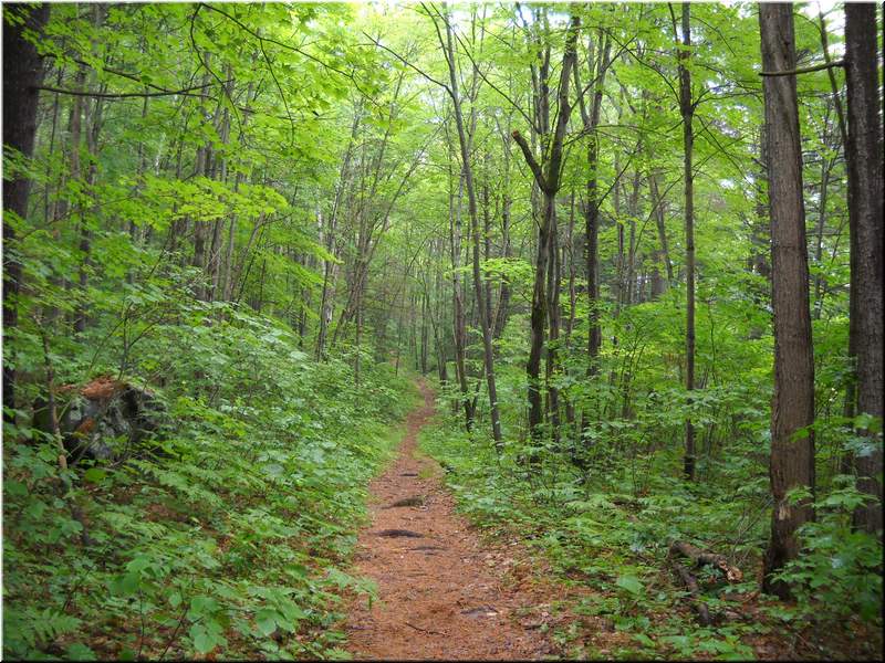 2010NC Myers 125.JPG