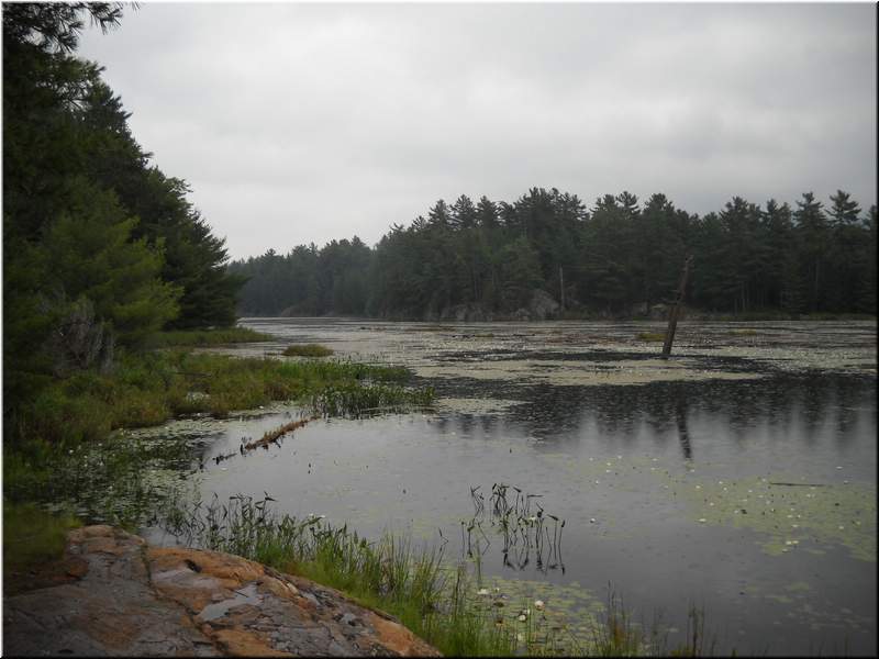 2010NC Myers 130.JPG