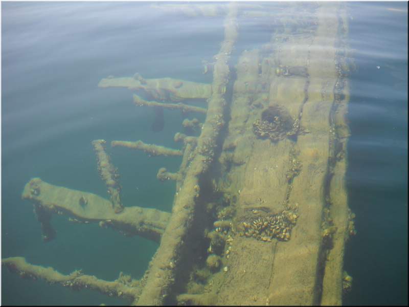 2010NC Myers 284.JPG