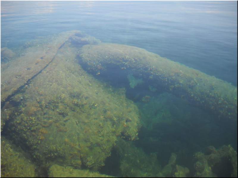 2010NC Myers 285.JPG