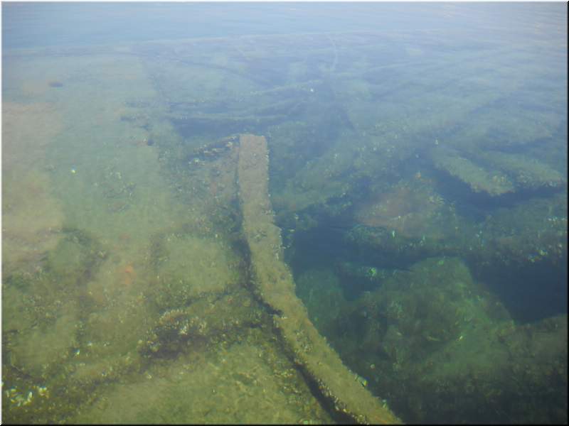 2010NC Myers 288.JPG