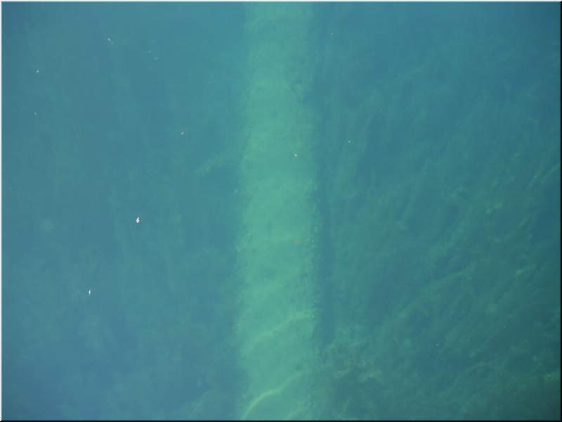 2010NC Myers 291.JPG