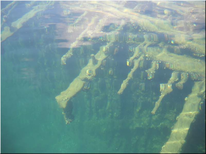 2010NC Myers 295.JPG