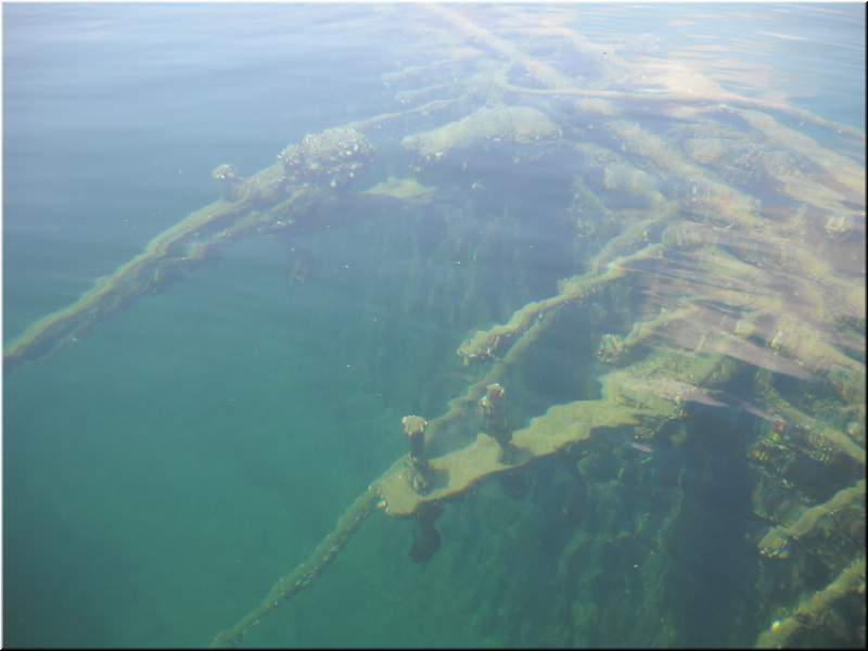 2010NC Myers 296.JPG