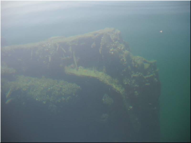 2010NC Myers 301.JPG