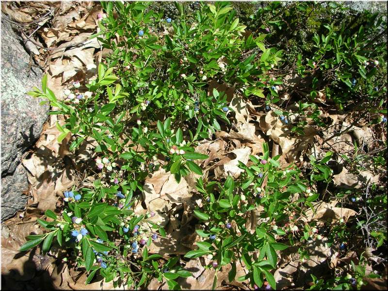 north channel 096.JPG